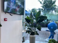 -鲨鱼菲特(金沙湖店)