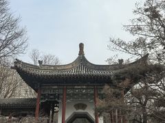 -迎泽公园