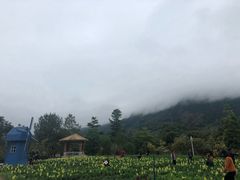 -广州市流溪河国家森林公园