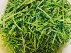 松茸菌豆苗-丰收日·小海鲜·沪上家宴(顾村正大店)