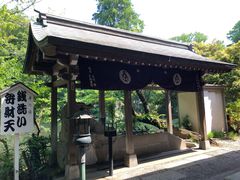 -井之头恩赐公园