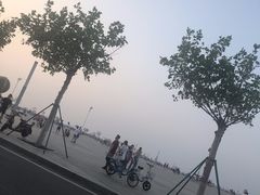 -东港音乐喷泉广场