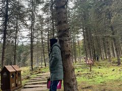 -硗碛藏寨·神木垒景区