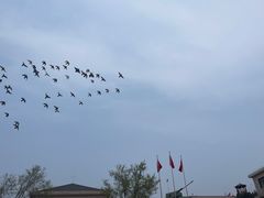 -西柏坡红色胜典景区