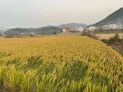 -四明山国家森林公园
