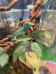 -Zoolung Zoolung动物主题公园(海信广场店)