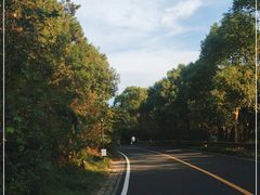-宝界山林公园