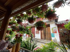 -民食香·腊排骨野生菌美食(木府店)