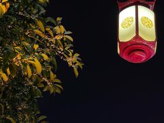-三佳口味馆(裕后街店)
