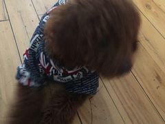 -惠康宠物医院(华能路店)