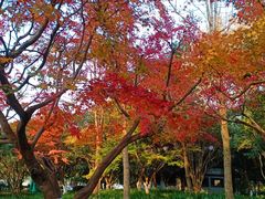 -杭州黄龙洞