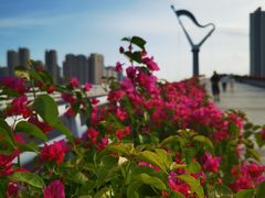 -厦门园林博览苑