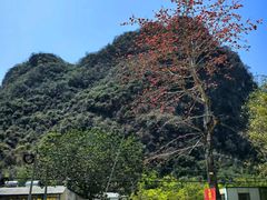 -银峰农庄·特色烧鸡·鲜无花果浸鸡