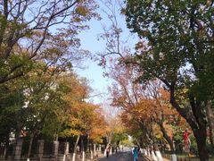 -八大关景区