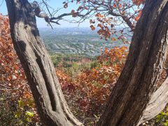 -北京西山国家森林公园