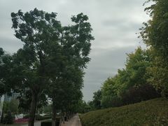 -邯郸东站