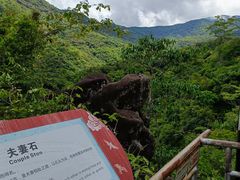 -海南霸王岭国家森林公园