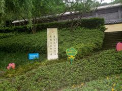 -重庆彩云湖湿地公园