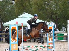 -松声马术俱乐部