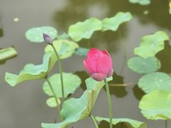 -木塔寺遗址生态公园