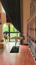 -成都阿难陀艾扬格瑜伽中心