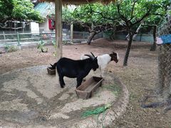 -青青世界