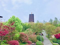 -牛首山文化旅游区