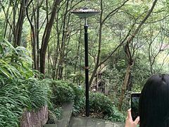 -重庆彩云湖湿地公园