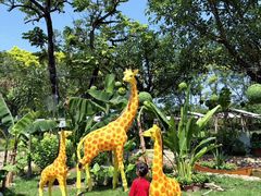 -广东花都香草世界旅游度假区