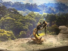 -南宫五洲植物乐园