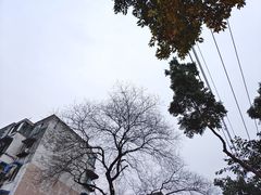-老黄记手撕烤兔(玉林街店)