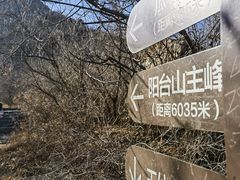 -阳台山自然风景区