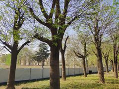 -汉长安城未央宫国家考古遗址公园