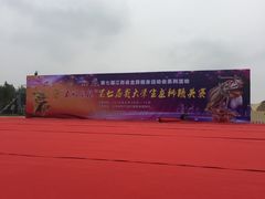 -金沙湖旅游度假区
