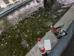 -光头佬钓虾场·烧烤·聚餐·亲子(金沙洲店)