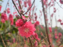 -白水带风景区体育公园