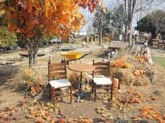 -HERRE·FARM 赫尔露营农场·团建聚会包场