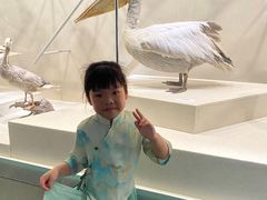 -中国湿地博物馆