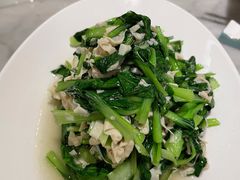 清炒鸡毛菜-蝶园·装修中(BFC外滩金融中心店)