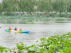 -WhaleSports户外水上运动俱乐部(朝阳公园店)