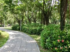 -深圳湾公园(南山区)