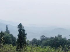 -峨眉山报国寺