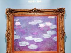 -遇见博物馆(遇见海洋沉浸式奇幻光影展)