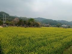 -红山村