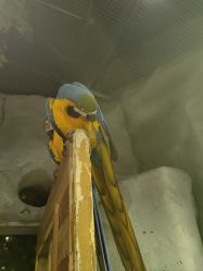 -Zoolung Zoolung动物主题公园(海信广场店)