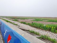 -南汇嘴观海公园