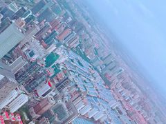 -上海环球金融中心云端足球盛典