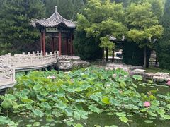 -晋祠公园