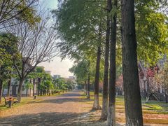 -太阳岛度假酒店