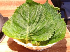 紫苏叶+叶生菜-小米烤肉·和牛原切-创意韩料(东关店)